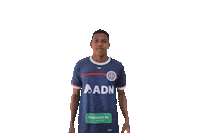 Saocarlos Sticker by Grêmio Desportivo São-Carlense