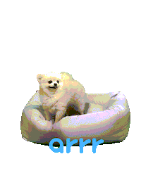 아르르 Sticker by arrr_official