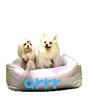 아르르 Sticker by arrr_official