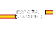 Santiago Abascal Vox Sticker by VOX_es