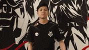 Lets Go Lol GIF by G2 Esports