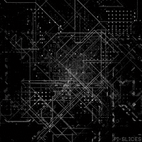 pislices loop 3d trippy black and white GIF