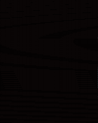 Mens Tennis GIF by Louisville Cardinals