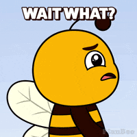 Wait What Head Turn GIF by Plan Bee Studios