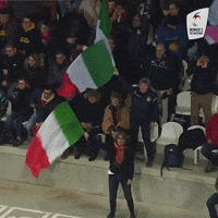 Womens6Nations fan fans womens six nations GIF