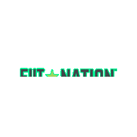 FIITNation workout work out fn fiit Sticker