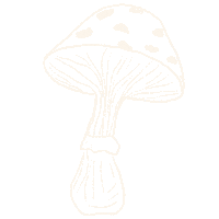 Fine Line Mushroom Sticker