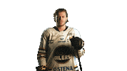 Hockeynorge Sticker by Stavanger Oilers
