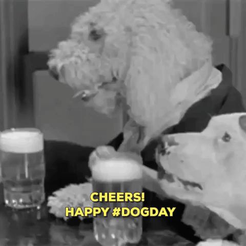warnerarchive giphygifmaker cheers warner archive dogday GIF