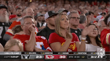 Kansas City Chiefs Football GIF by NFL