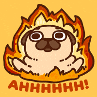 Fire Burn GIF by Puglie Pug