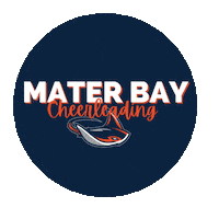 Rays Sticker by Mater Bay