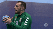 Ehfeuro GIF by EHF