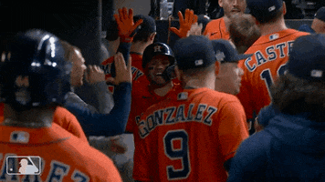Major League Baseball Sport GIF by MLB