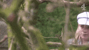 Hide Hiding GIF by Hollyoaks