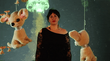 mergerecords dog running punk dc GIF
