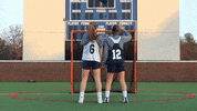 vwu_marlins marlins vwu wethebeach virginiawesleyan GIF