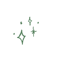 BlinkBeautyStudio green blink twinkle blinkbeauty Sticker