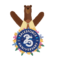25Th Anniversary Celebration Sticker by Salesforce