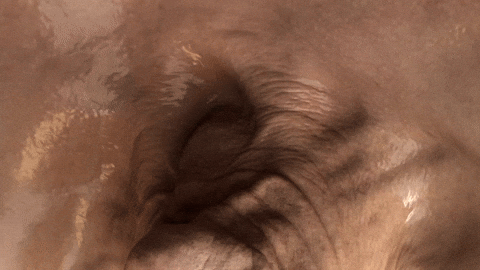 Skin Gobble GIF by tokyomegaplex