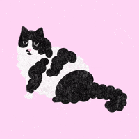 Black White Cat GIF by bymartioska