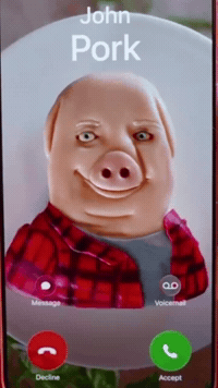 Johnpork GIF by Respective
