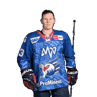 Solow Sticker by Adler Mannheim