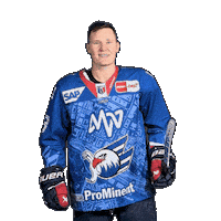 Solow Sticker by Adler Mannheim