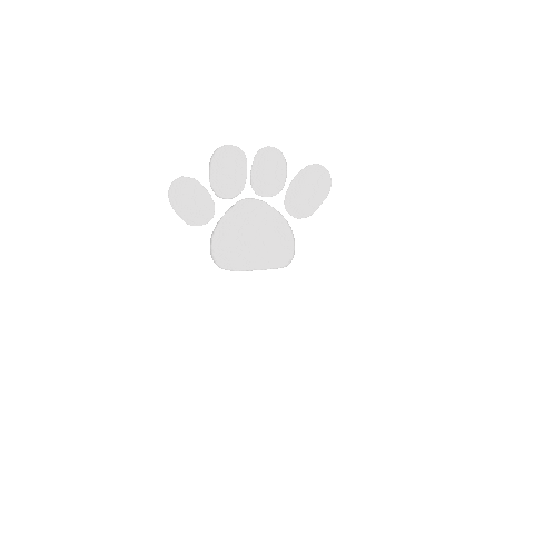ravalikodarapu giphyupload puppy paws dogpaws Sticker