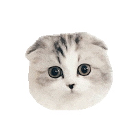 Cat Kitten Sticker by Herlipto