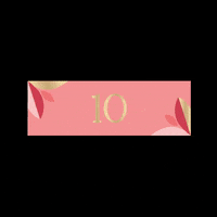 Calendar Advent GIF by A PET STORE