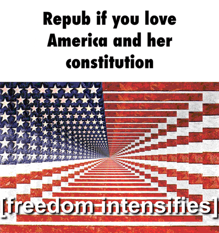 constitution GIF