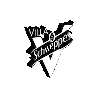 Shwepps Sticker by villaschweppes