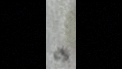 frame by frame GIF