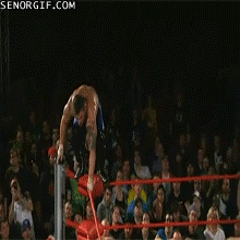 wrestling fails GIF by Cheezburger