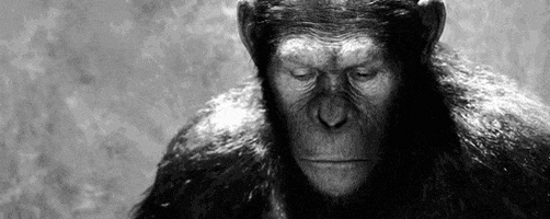 looking planet of the apes GIF by 20th Century Fox Home Entertainment