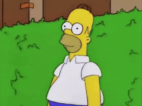 khanage77 homer simpson the simpsons pride month GIF