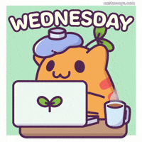 Work From Home Cat GIF by Castaways