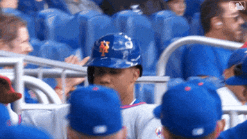 High Five Juan Soto GIF by New York Mets