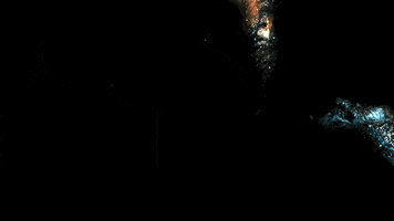 chris evans GIF by RADiUS
