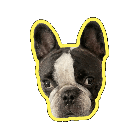 Best Friend Love Sticker by Kim Alvarez-Cazzetto (kimac)
