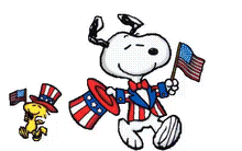 May The Fourth Be With You Independence Day GIF