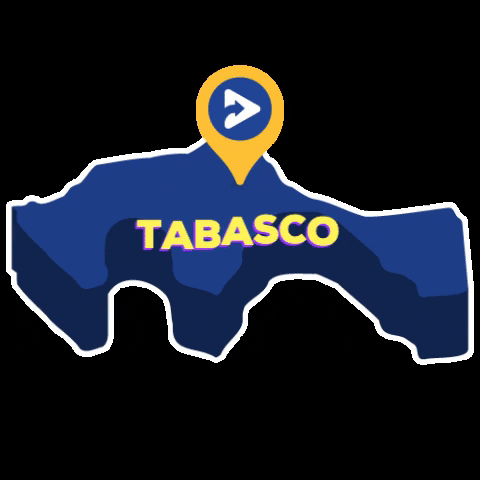 WCNtelevision giphygifmaker television tabasco wcn GIF