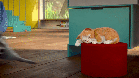 Cat Sleeping GIF by MightyMike