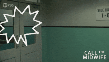 Season 15 Episode 3 GIF by PBS