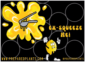 preparedplants lemon preparedplants ex-squeeze GIF