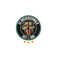 Logo Hockey Sticker by EC Bregenzerwald