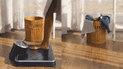 GIF by CreatorFocus.com