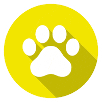 Paw Exhibition Sticker by step one GmbH