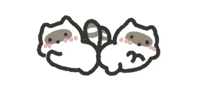 Raccoon Love GIF